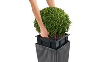 LECHUZA CUBE Cottage 30 All-in-One Set Binnen/buiten Plantenpot Vrijstaand Polypropyleen (PP) Bruin - thumbnail