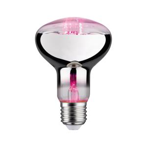 Paulmann LED-plantenlamp groei PAULMANN 230 V E27 6.5 W Barnsteen 1 stuk(s)