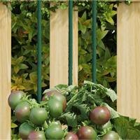 VidaXL Plantenstaken 30 st 60 cm staal groen