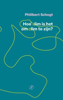 Hoe slim is het om slim te zijn (Paperback)