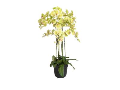 Orchidee kunstplant 9-tak 110 cm, groen - Buitengewoon de boet