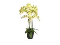Orchidee kunstplant 9-tak 110 cm, groen - Buitengewoon de boet