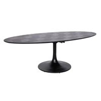 Eettafel Blax oval 250