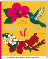 Kleurboek XL - Zilver & Glas in lood effecten (Paperback)