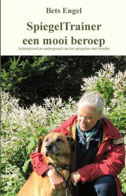 Spiegeltrainer een mooi beroep (Paperback)