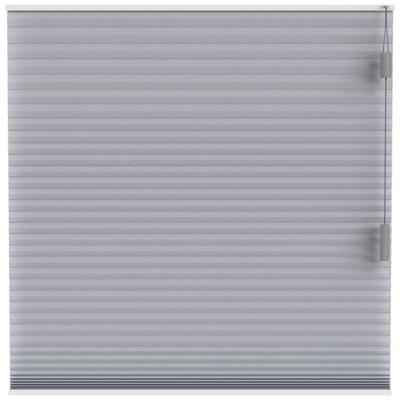 Leen Bakker - Plisségordijn Dubbel 25mm Verduisterend - Licht (20030) - Polyester - Grijs - 120x10x10 Cm