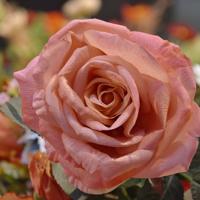 Kunst Rozentak Elizabeth RT 65 cm zalm