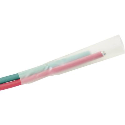 DSG Canusa 4300127032 Krimpkous zonder lijm Transparant 12.70 mm 6.40 mm Krimpverhouding:2:1 1 stuk(s) DSG Canusa 4300127032 Krimpkous zonder lijm Transparant 12.70 mm 6.40 mm Krimpverhouding:2:1 1 stuk(s)