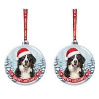Set Van 2x Stuks Glazen Kerstballen Hond Berner Sennen 7 Cm - Kerstbal - thumbnail