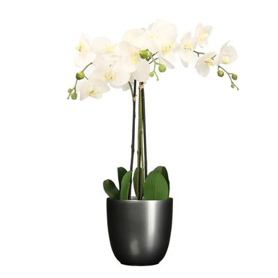 Orchidee kunstplant wit - 75 cm - inclusief bloempot titanium grijs glans
