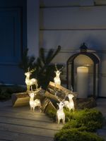 Verlicht kerstfiguur voor buiten - 5 rendieren - 40 LEDs - Warm wit - Dimbaar - 19 cm hoog - Kerstverlichting - thumbnail