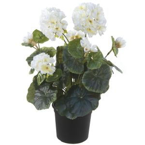 Witte geranium Pelargonium Graveolens kunstplant in zwarte kunststof pot 35 cm   -
