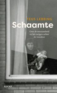 Schaamte (Paperback)