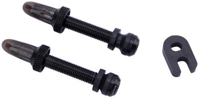 SCHWALBE Tubeless ventiel 40mm (2 stuks)