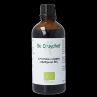 Cruydhof Artemisia vulgaris herb/bijvoet tinctuur bio 100 Milliliter