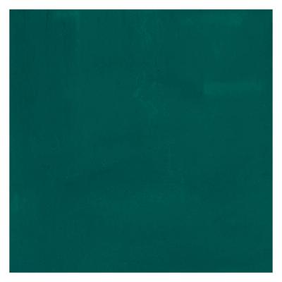 Bruynzeel Ecola plakkaatverf fles 16ml donkergroen 602