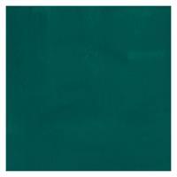Bruynzeel Ecola plakkaatverf fles 16ml donkergroen 602 Bruynzeel Ecola plakkaatverf fles 16ml donkergroen 602