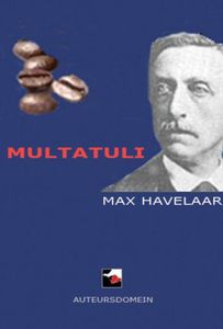 Max Havelaar - Multatuli - ebook