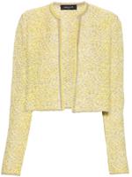 Fabiana Filippi cardigan en maille chinée - Jaune