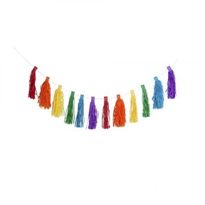 Slinger tassel regenboog - 3 meter