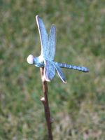 Bronzen tuinprikker Libelle, 69 cm
