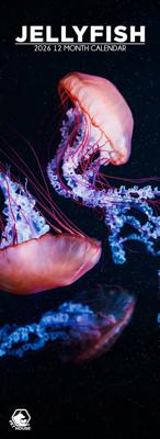 Kwallen Slimline Kalender 2026