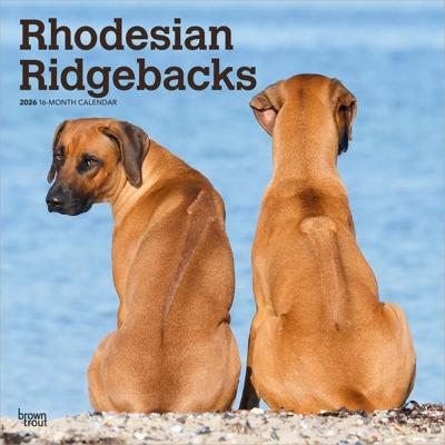 Rhodesian Ridgeback Kalender 2026