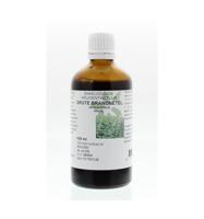 Urtica dioica / brandnetel kruid tinctuur