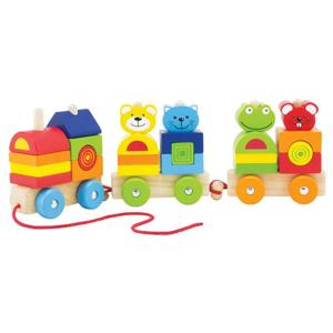 Pintoy 4 friends houten blokken trein
