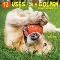 12 Uses for a Golden Kalender 2026