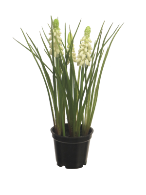 Muscari x3 with black pot cream 23 cm kunstbloem - Nova nature