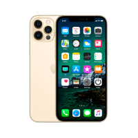 Refurbished iPhone 12 Pro Max 256 GB Goud Licht gebruikt