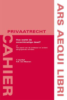 Hoe werkt de onrechtmatige daad? (Paperback)