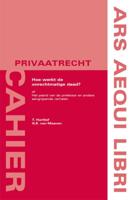 Hoe werkt de onrechtmatige daad? (Paperback)