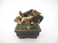 Edelsteen levensboom Tijgeroog - Overige Edelsteensoorten - Spiritueelboek.nl - thumbnail