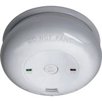 Koolmonoxide alarm RM380 Gasmelder