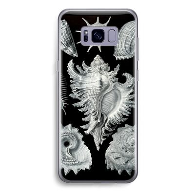Haeckel Prosobranchia: Samsung Galaxy S8 Plus Transparant Hoesje
