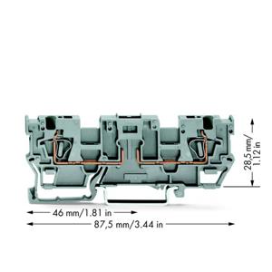 WAGO 769-191 Basisklem 5 mm Spanveer Toewijzing: L Grijs 50 stuk(s)