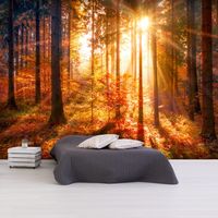 Zelfklevend fotobehang -  Tijd voor Herfst in een bos  , Premium Print - thumbnail