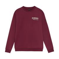 Rellix winter sweater jongens - rood - backprint