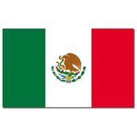 Vlag Mexico 90 x 150 cm feestartikelen - thumbnail