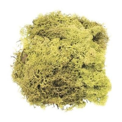 Decoratie nep mos - lichtgroen - 50 gram - Hobby/knutselen - herfst/kerst thema decoreren