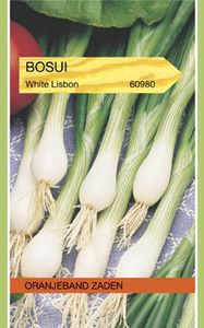 Bosui