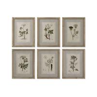 Schilderij Home ESPRIT Shabby Chic Botanische planten 30 x 2 x 40 cm (6 Stuks) Schilderij Home ESPRIT Shabby Chic Botanische planten 30 x 2 x 40 cm (6 Stuks)