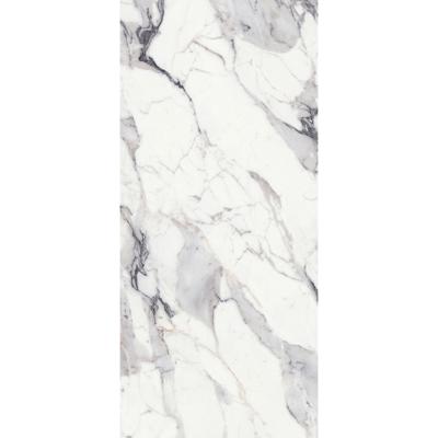 Douglas & Jones Vloertegel 120x280 cm Magnum Glans Argent - Vloertegel 120x280 cm Magnum Glans Argent (prijs Per Tegel)