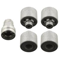 Wielmoerset 101001