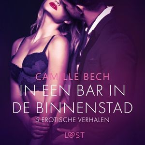 In een bar in de binnenstad - 5 erotische verhalen