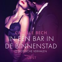 In een bar in de binnenstad - 5 erotische verhalen In een bar in de binnenstad - 5 erotische verhalen