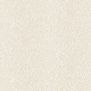 Dutch Wallcoverings Behang Embellish Stripe Design White De120121