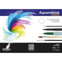 Kangaro Aquarelblok 16 vel - 2x - 300 gram - 24 x 17 cm - Aquarel papier
